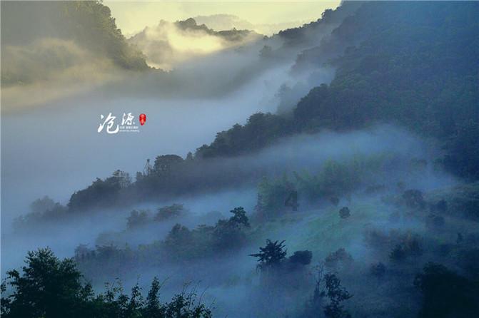 小猫钓鱼正版下载中文版