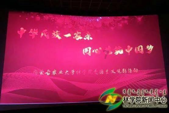 虫虫助手下载