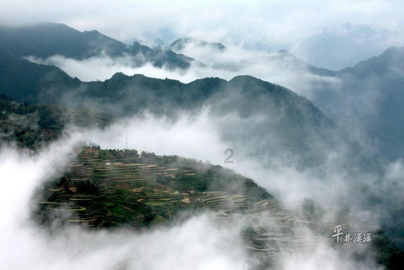 虫虫助手下载